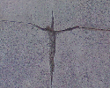 Awatar użytkownika